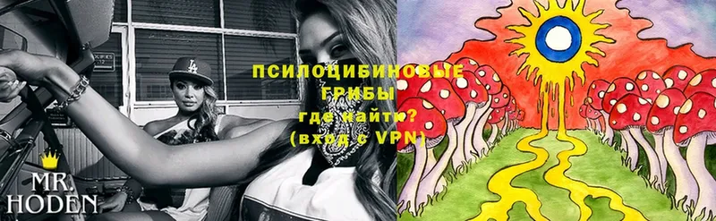 Галлюциногенные грибы Magic Shrooms  Хадыженск 